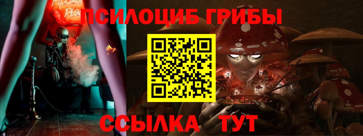 Искитим  Псилоцибиновые грибы прущие грибы  Галлюциногенные грибы Magic Shrooms  Вход с VPN 